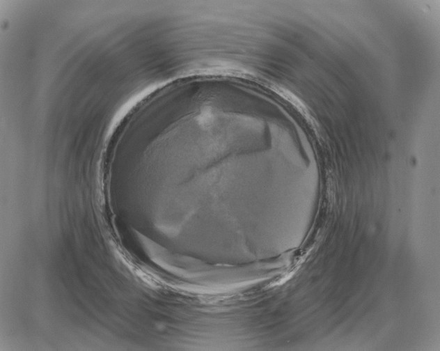 X0000087631120200705241208