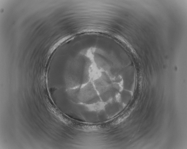 X0000087631121200705241208