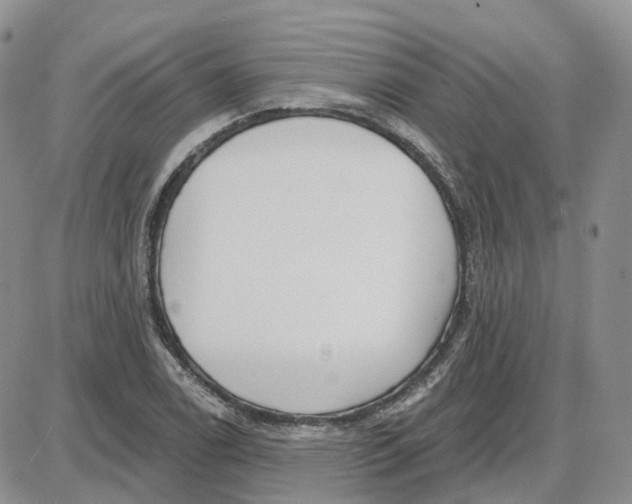 X0000087631122200705241208