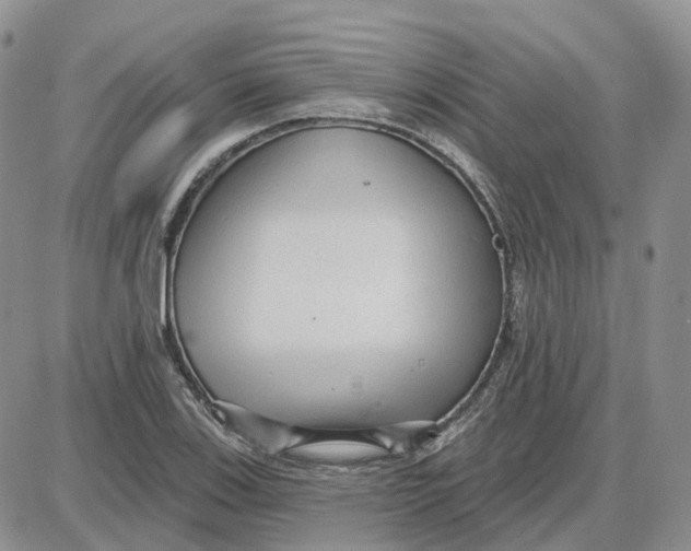 X0000087631123200705241208