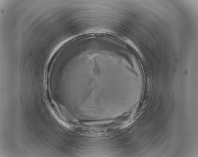 X0000087631124200705241208