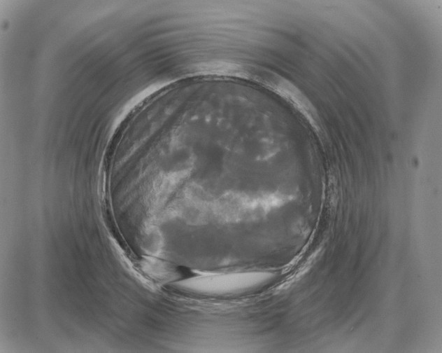 X0000087631125200705241208