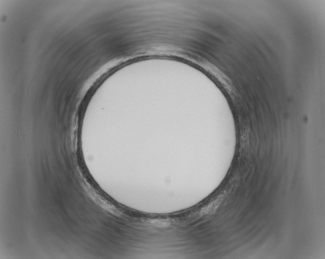 X0000087631126200705241208