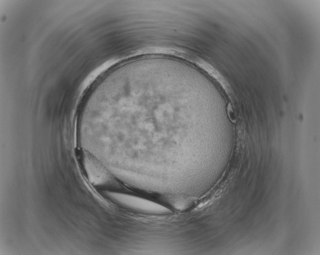 X0000087631127200705241208