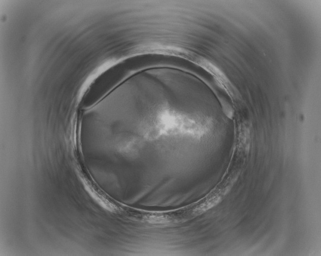 X0000087631128200705241208