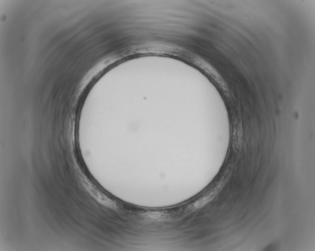 X0000087631130200705241208