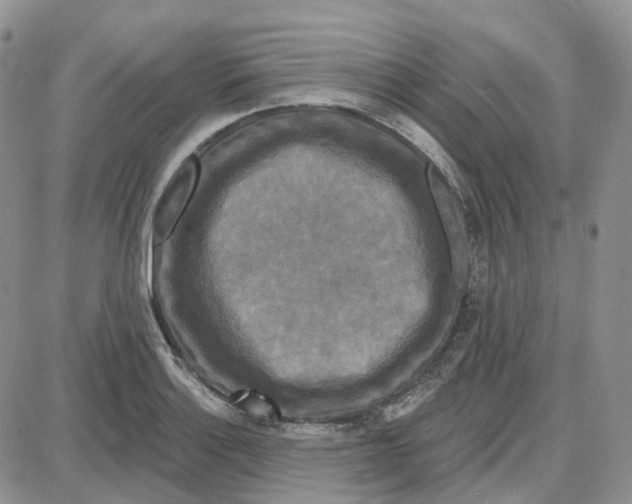 X0000087631132200705241208