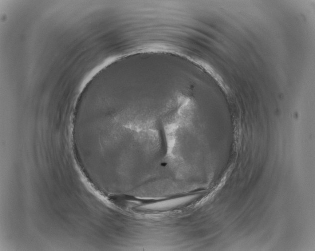 X0000087631134200705241208