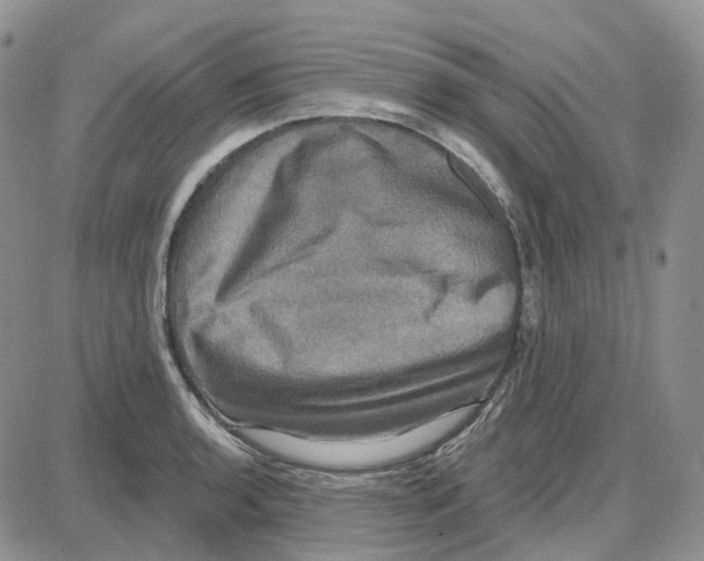 X0000087631136200705241208