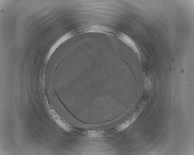 X0000087631138200705241208