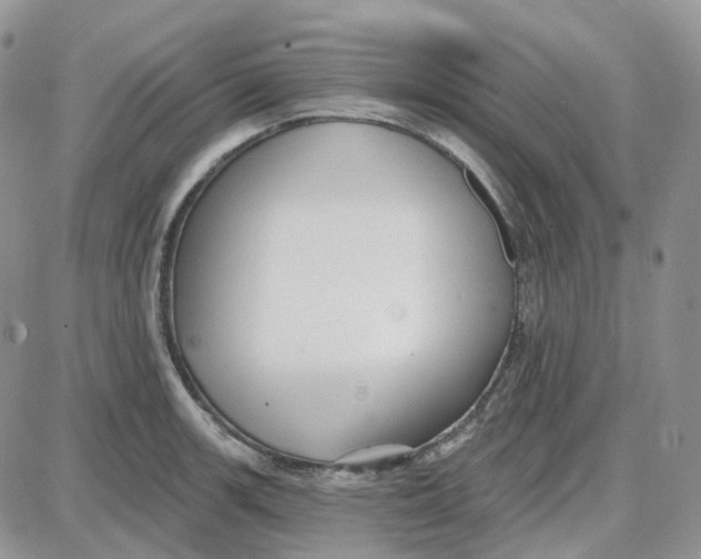 X0000087631139200705241208