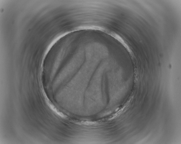 X0000087631140200705241208