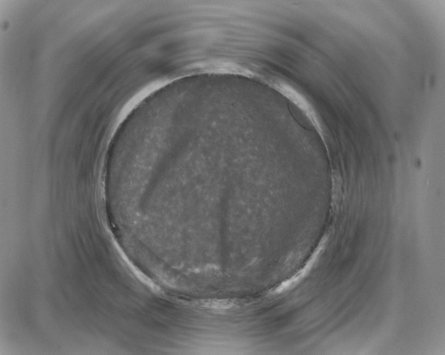 X0000087631141200705241208