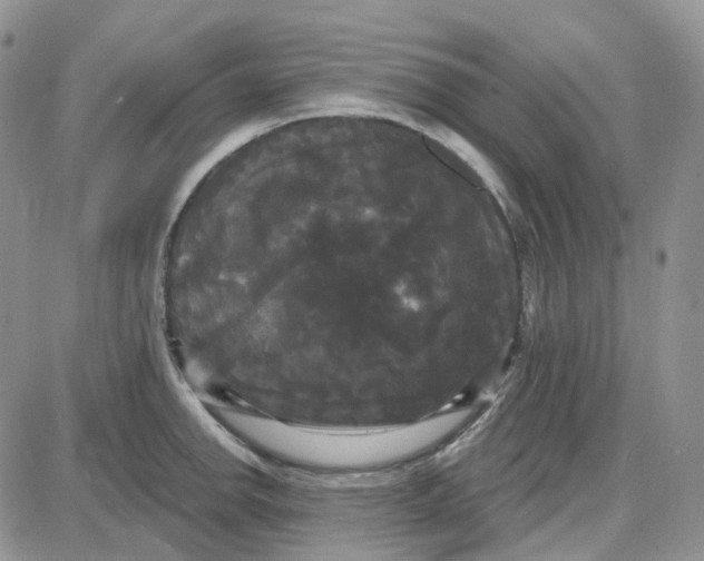 X0000087631142200705241208