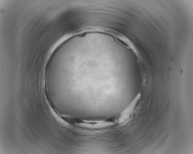 X0000087631143200705241208