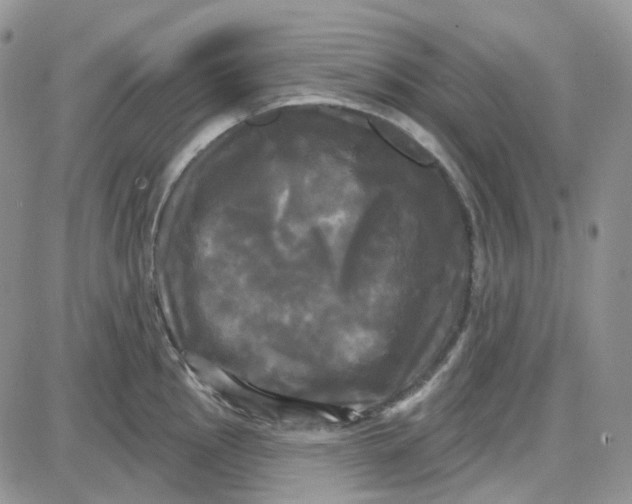 X0000087631145200705241208