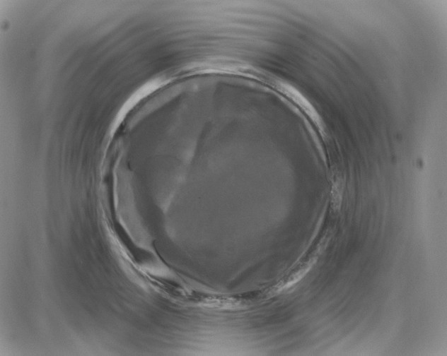 X0000087631146200705241208