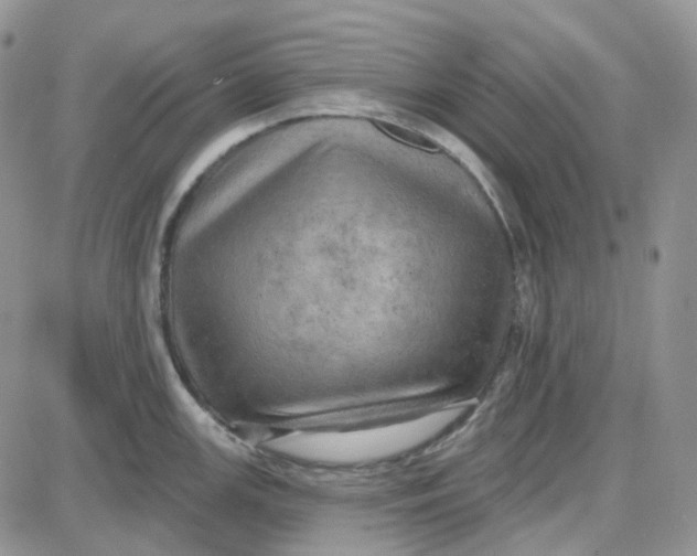 X0000087631147200705241208