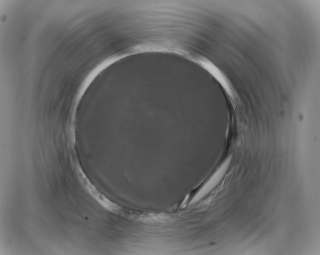 X0000087631148200705241208