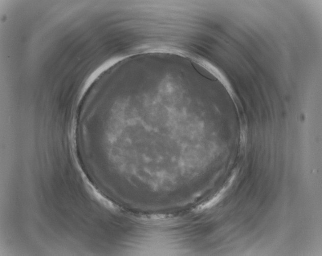 X0000087631149200705241208