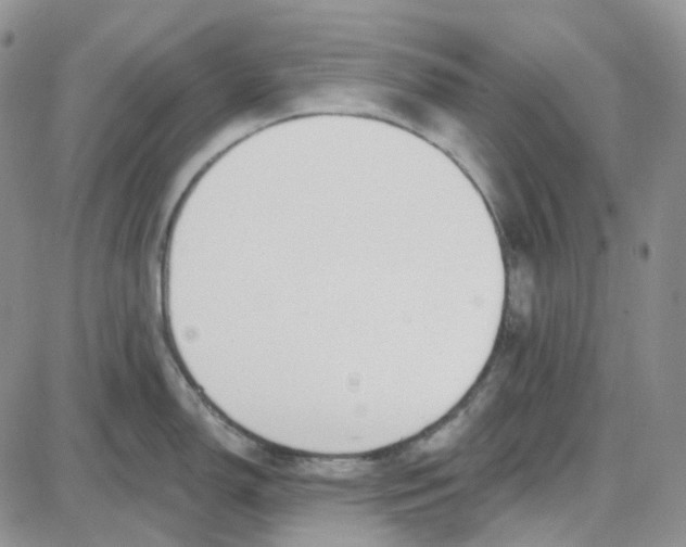 X0000087631150200705241208