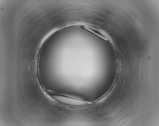 X0000087631151200705241208