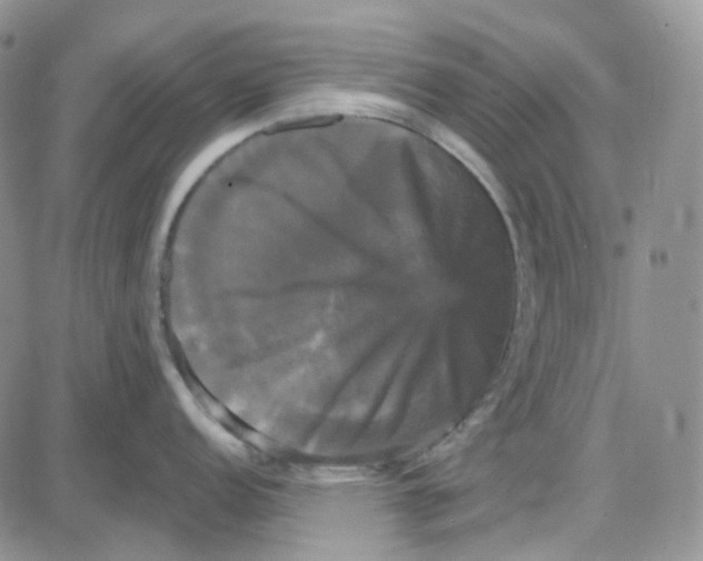 X0000087631152200705241208