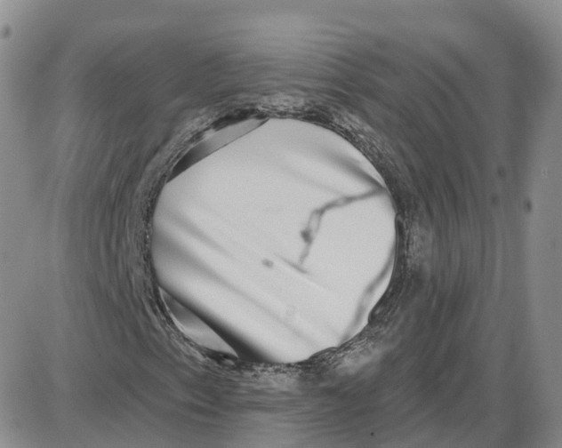 X0000087631153200705241208