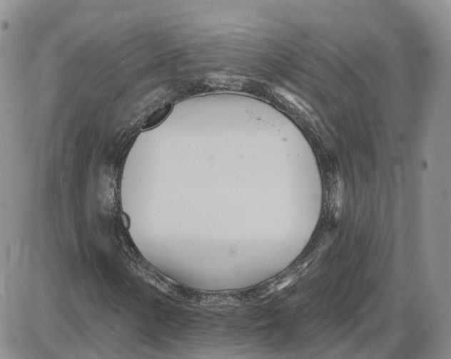 X0000087631154200705241208