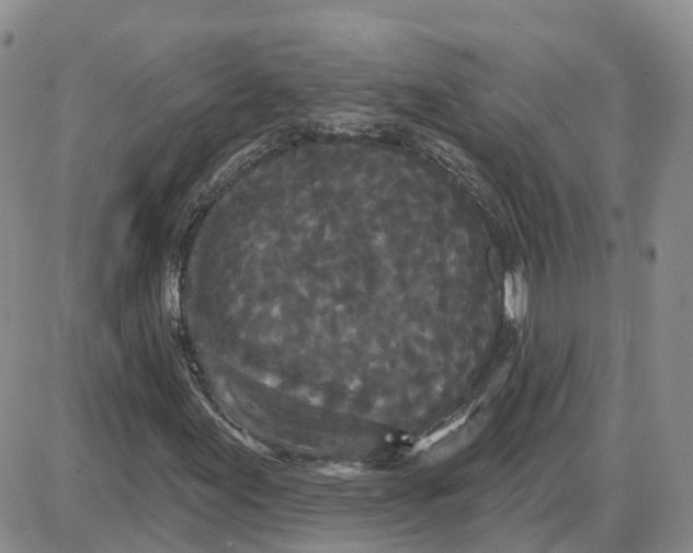 X0000087631155200705241208