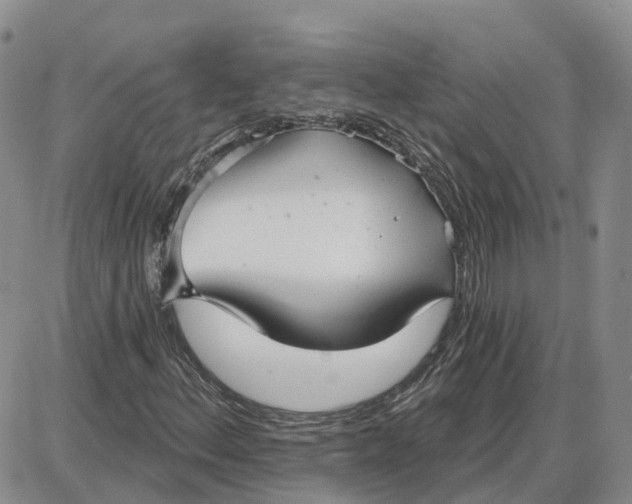 X0000087631156200705241208