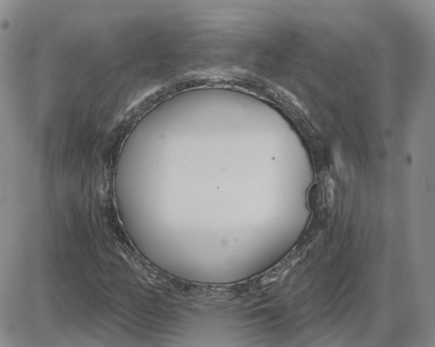 X0000087631158200705241208