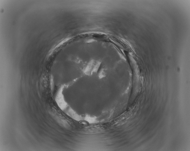 X0000087631159200705241208