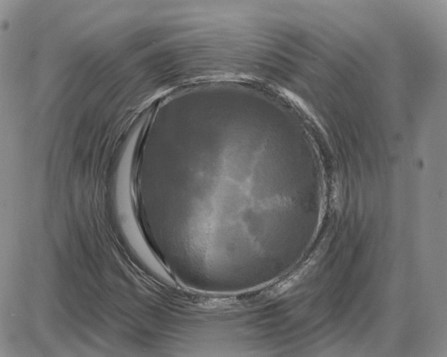 X0000087631161200705241208