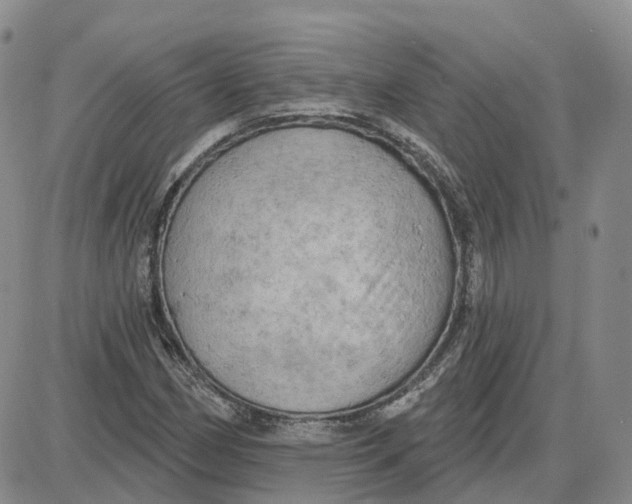 X0000087631162200705241208