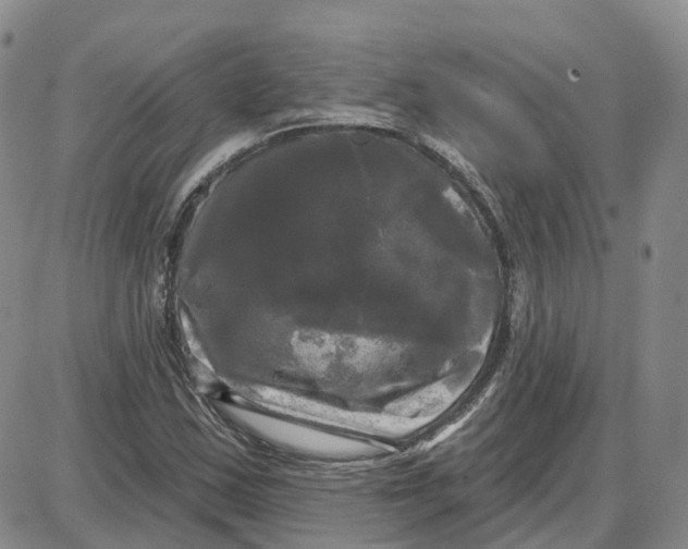 X0000087631163200705241208