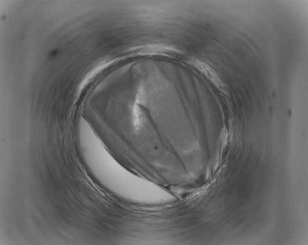 X0000087631164200705241207