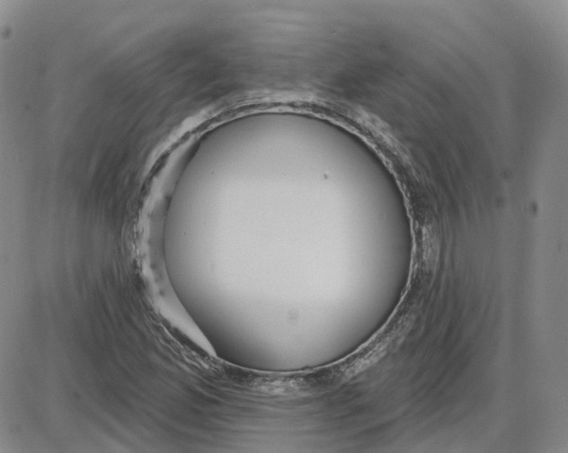 X0000087631165200705241207