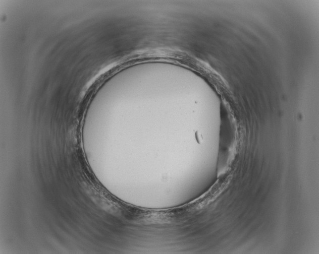 X0000087631166200705241207