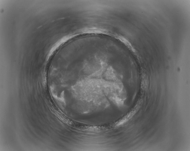 X0000087631167200705241207