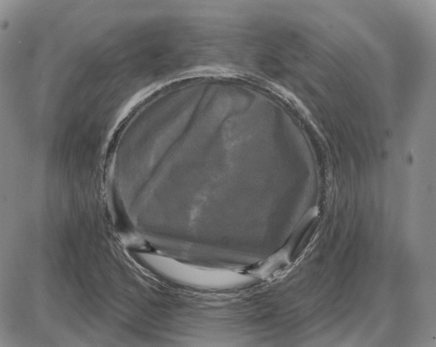 X0000087631168200705241207