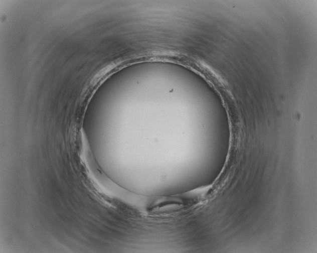 X0000087631169200705241207