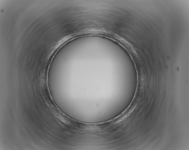 X0000087631170200705241207