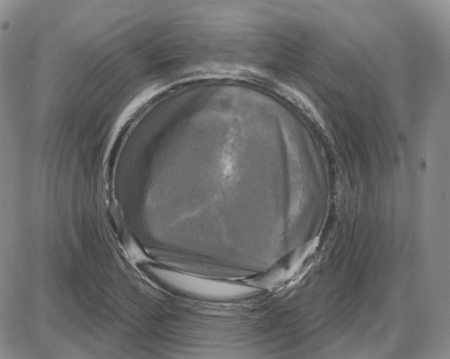 X0000087631172200705241207