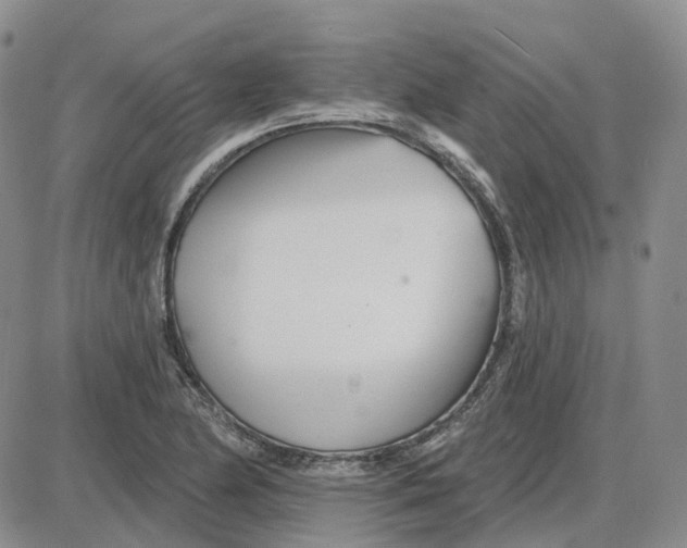 X0000087631174200705241207