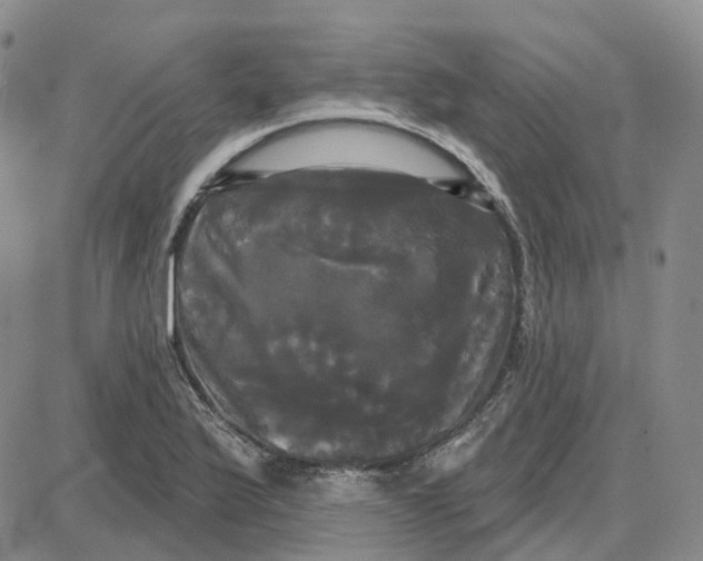 X0000087631175200705241207