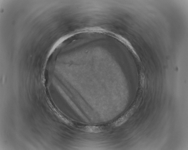 X0000087631176200705241207