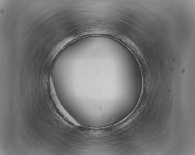 X0000087631177200705241207