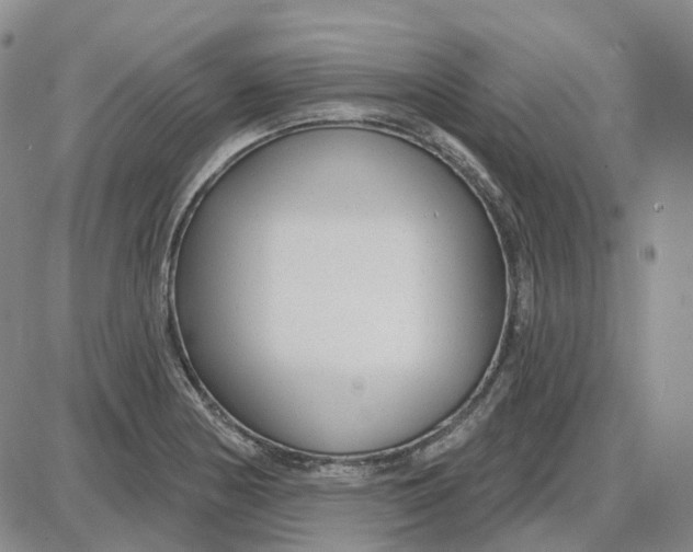 X0000087631178200705241207