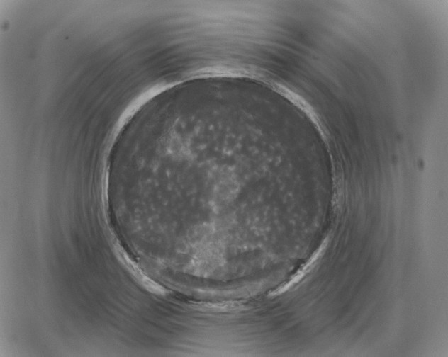 X0000087631179200705241207